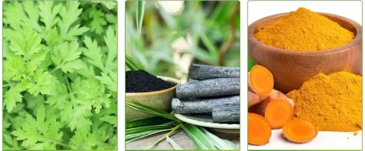 Detox tapaszok - eredmények egyetlen éjszaka alatt